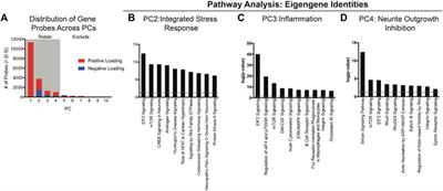 Data-driven approach to integrating genomic and behavioral preclinical traumatic brain injury research